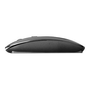 Mouse Kablosuz Optik Nano Receive Everest SM-781 Siyah